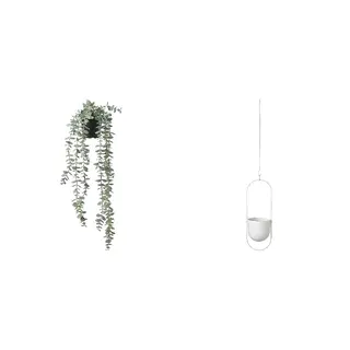 artificial potted plant + pot set: artificial potted plant + hanging planter, in/outdoor hanging/eucalyptus + in/outdoor white