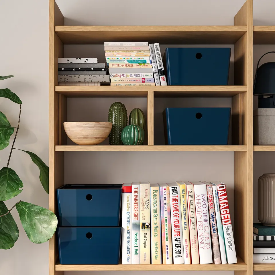 Wooden shelf with blue storage boxes and various items including books, a bowl, and decorative plants.