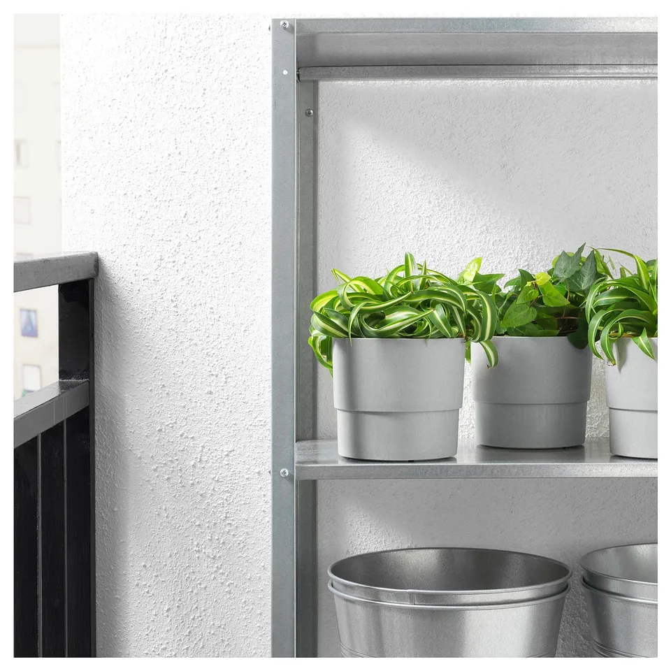 Three potted plants on a metal shelf, two in grey pots, one in a metal bucket, all with lush green foliage.