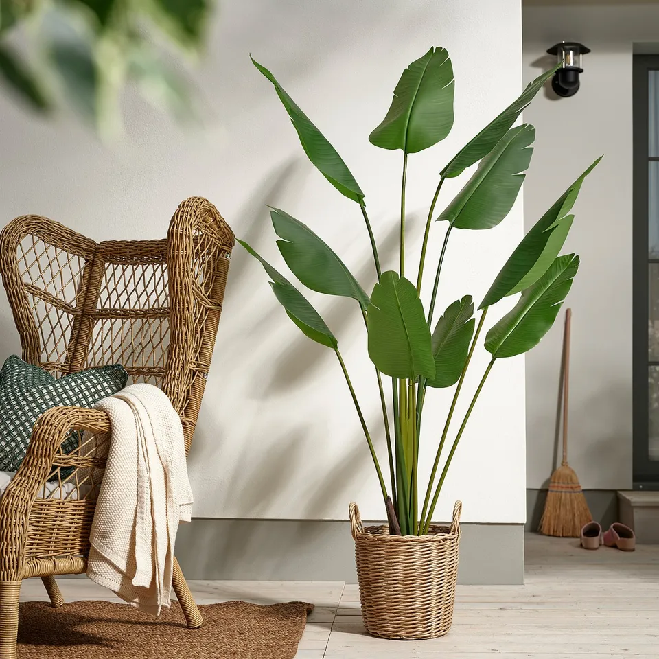 FEJKA Artificial potted plant, in/outdoor/Bird of paradise, 23 cm