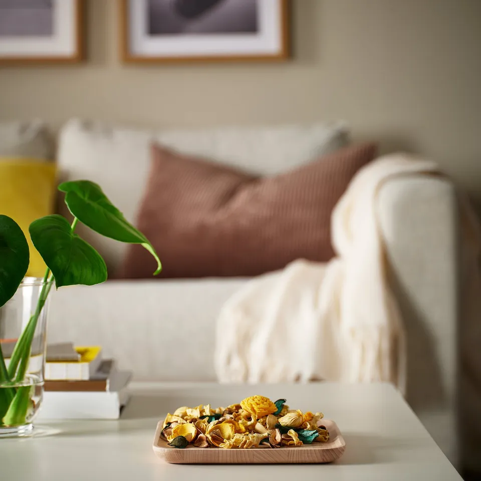 Cosy living room: white couch, brown pillows, tray of potpourri on table, green plant.