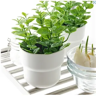 FEJKA/FÖRENLIG set: artificial potted plant + plant pot, in/outdoor Mint + in/outdoor white, 9 cm