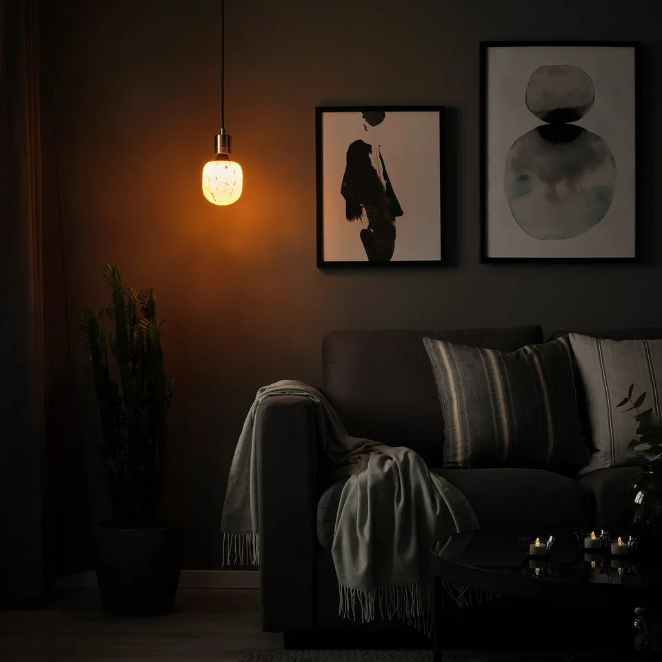 part: SKAFTET / MOLNART pendant lamp with light bulb