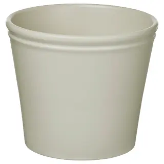 KÖRSBÄRSBJÖRK