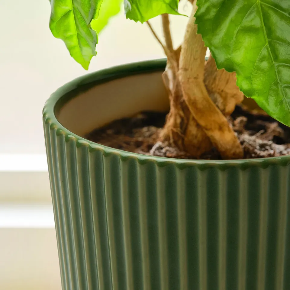 Green textured plant with large leaves