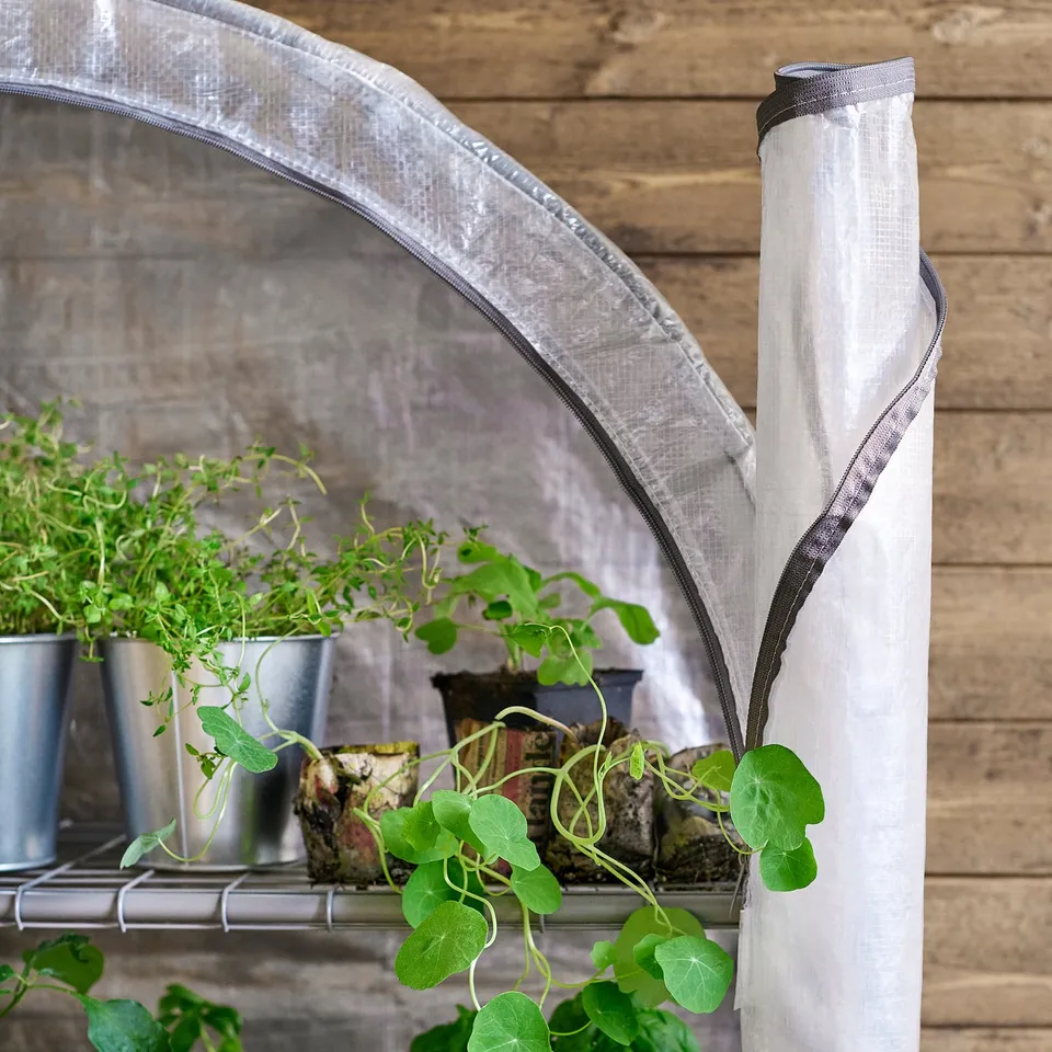 Small greenhouse with white covering on a wood structure holding various green potted plants.