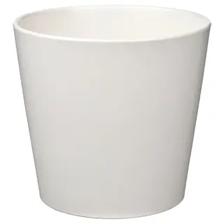 SOJABÖNA