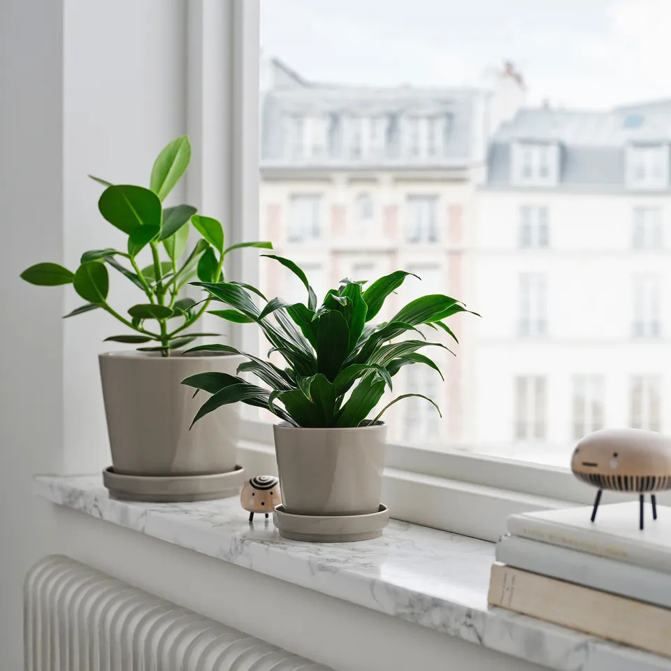 part: KLOTLÖNN plant pot with saucer