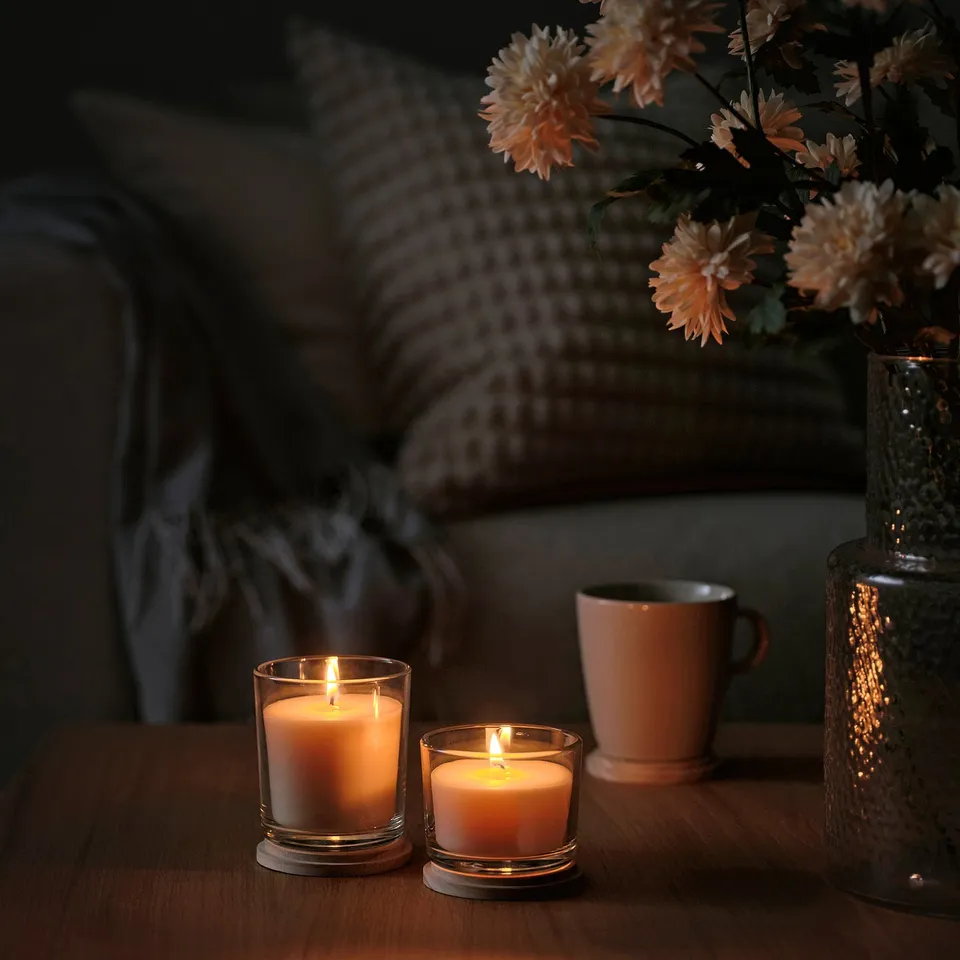 LOTSFÅGEL Lid for scented candle, pine, 8 cm