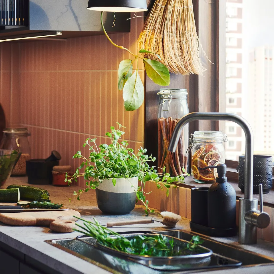 Modern kitchen sink with potted herbs, vegetables, and KORKEN jars storing dried goods and preserving food, under a window with hanging plants.
