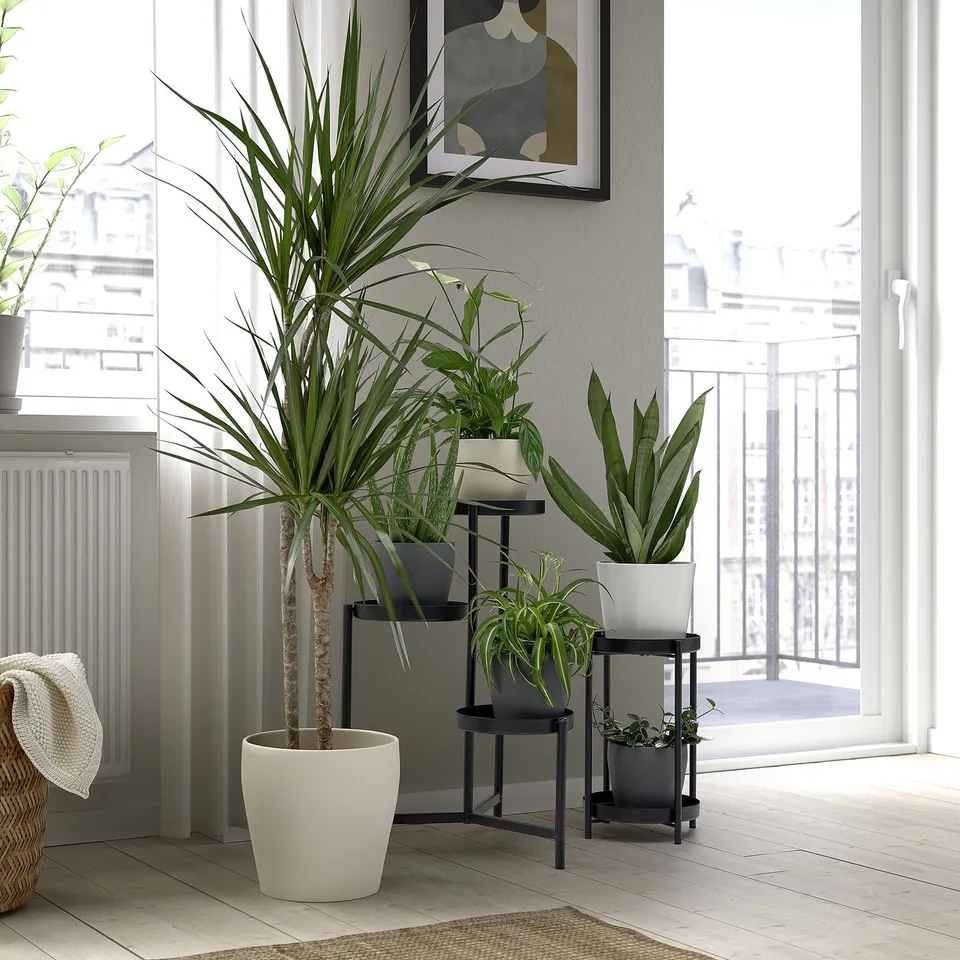 Modern living room with plants and glass doors.
