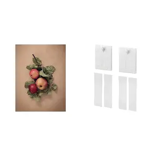 picture + adhesive hook ×2 set: picture + adhesive hook for frame, leaves with apples + white, Height 40 x Width 30 cm