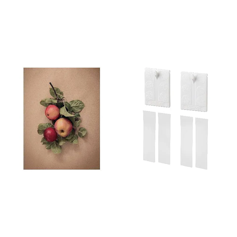 picture + adhesive hook ×2, photo 1