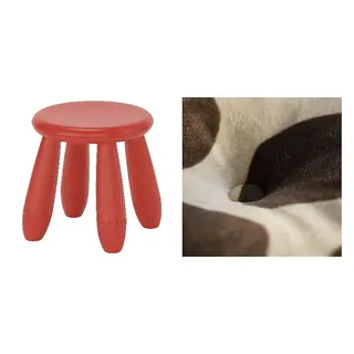 MAMMUT/SANDLÖPARE