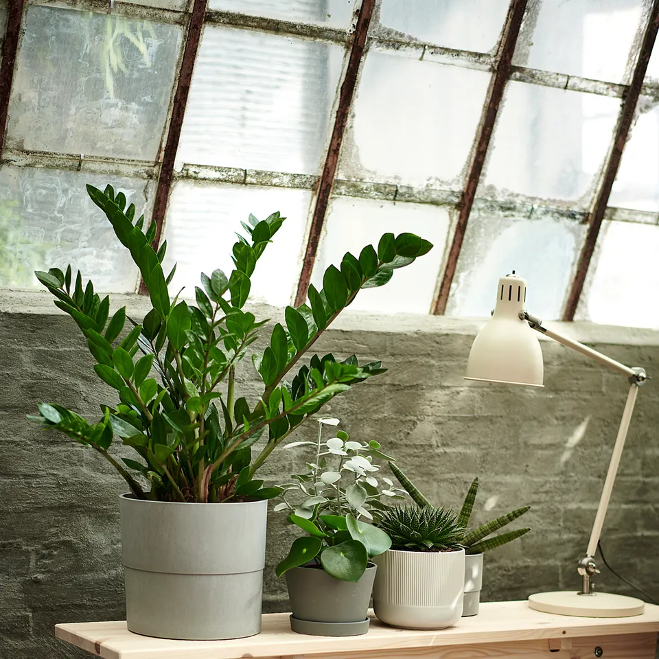 part: NYPON plant pot
