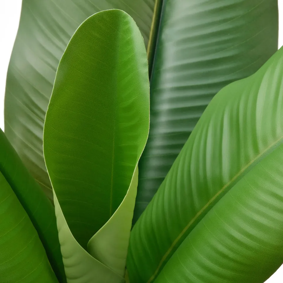 Large lush green leaves of artificial plant, vivid and lifelike, displayed against white background.