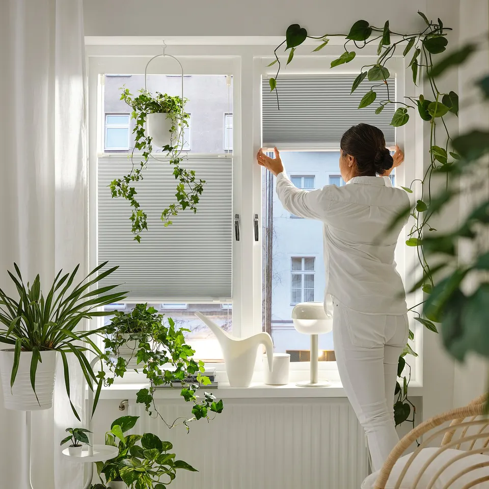 Person adjusting pleated blind in a bright room filled with houseplants.