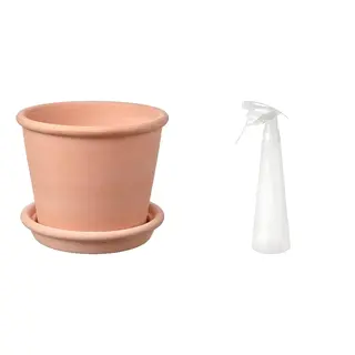 MUSKOTBLOMMA/TOMAT