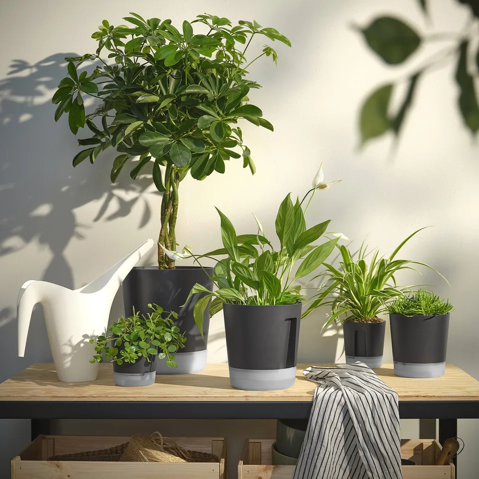 part: VÅRDTRÄD self-watering plant pot
