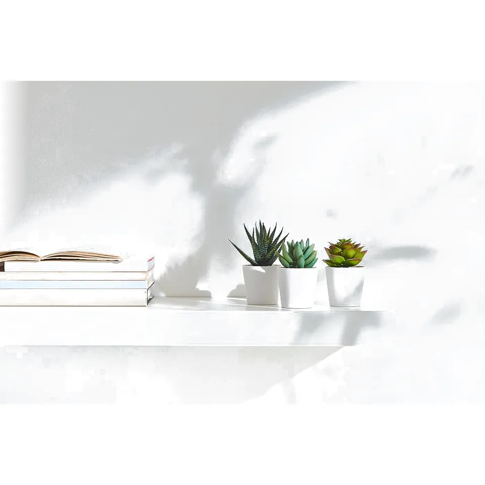 Three white potted artificial succulents on a white shelf with books.