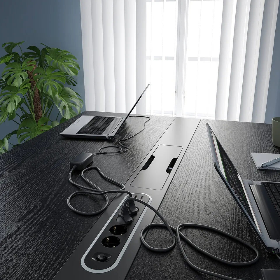 Office desk with laptops and plant.