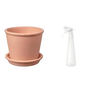 MUSKOTBLOMMA/TOMAT