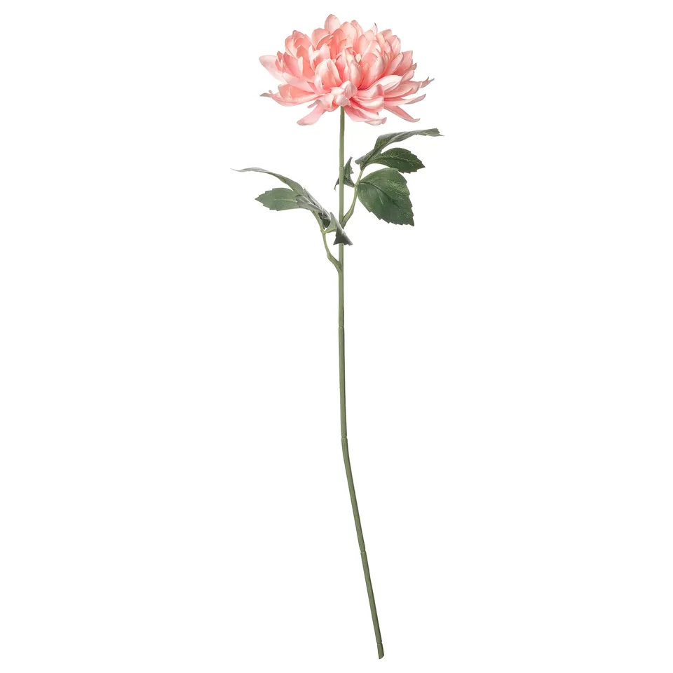 Single light pink flower with green leaves and stem, floral decor.