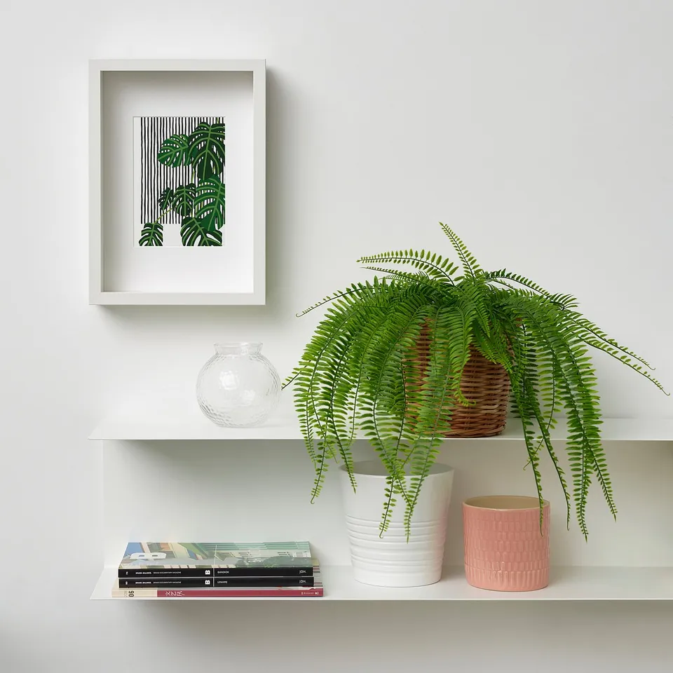 Shelf with palm art, vase, plant, and books with pink/purple pots.