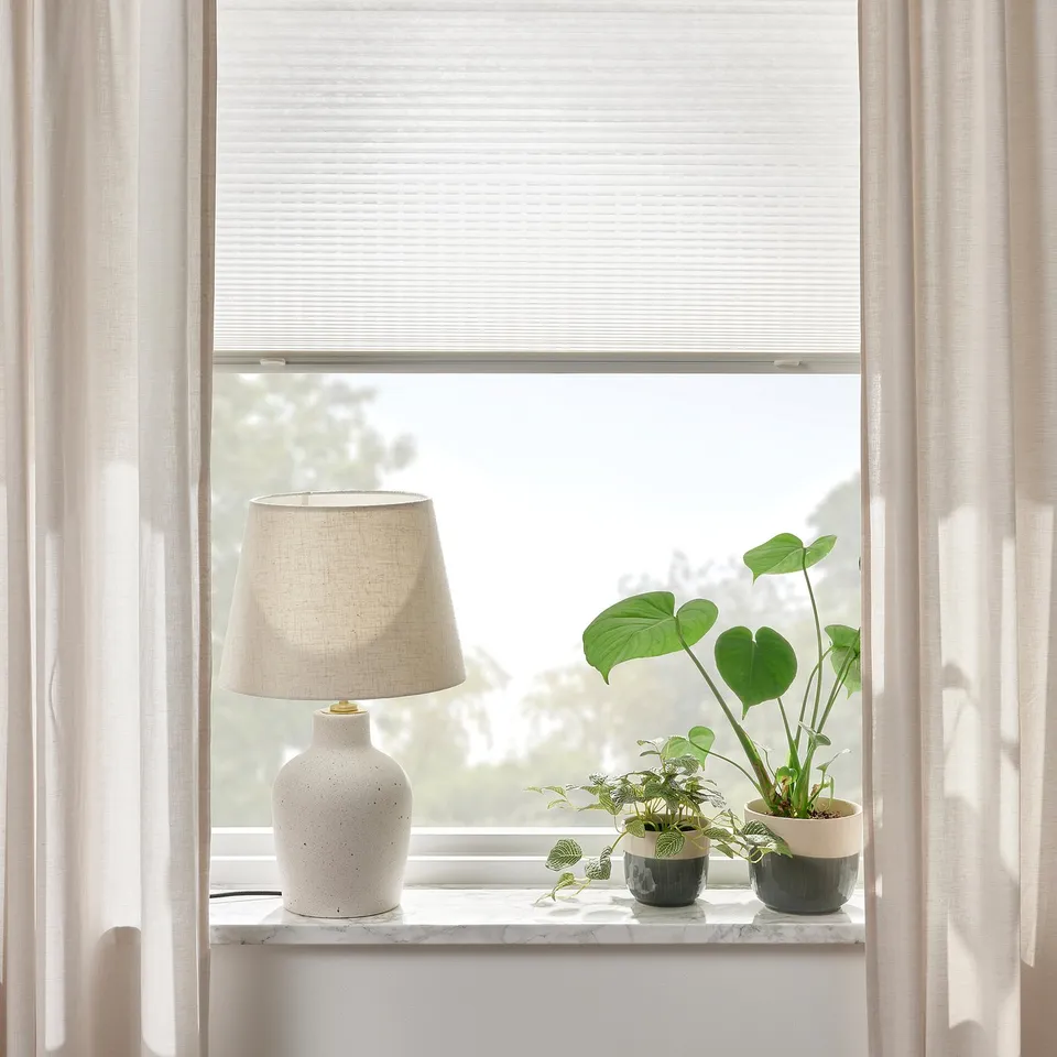 Window with light filtering pleated blind, lamp, and potted plants.