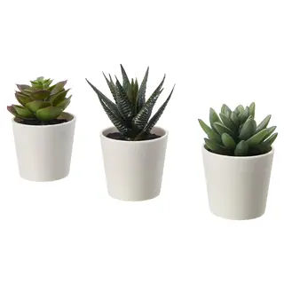 FEJKA artificial potted plant with pot, in/outdoor Succulent, 6 cm 3 pack