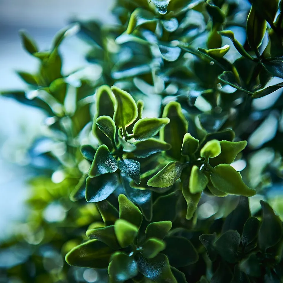 FEJKA Artificial potted plant, in/outdoor/Box green, 15 cm