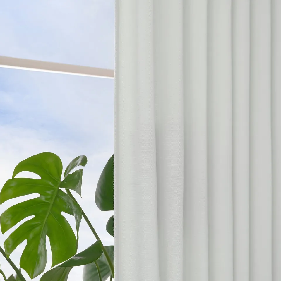 White curtains with eyelets, allowing light in while offering privacy. Large green plant leaf visible beside them.