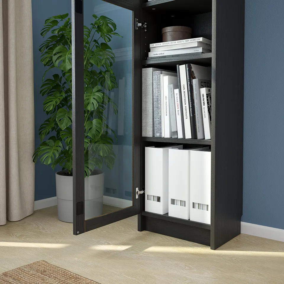 Black cabinet with glass door, displaying books, white storage boxes. Large plant beside it.